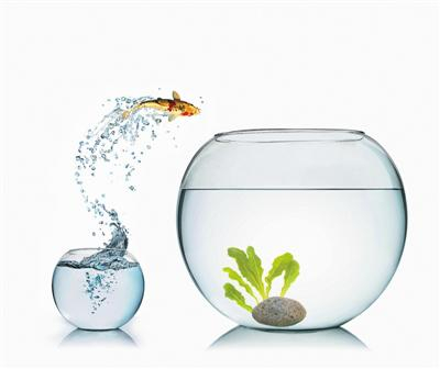 创意图片/新京报记者&nbsp;王远征