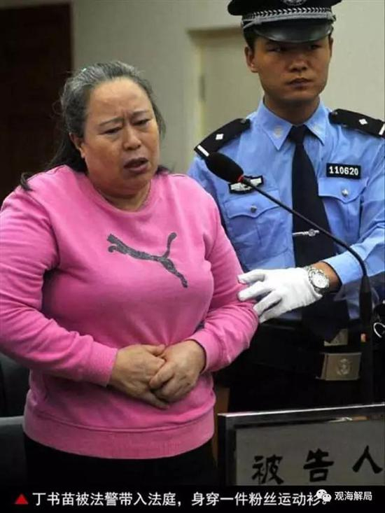 （刘志军背后的商人丁书苗）