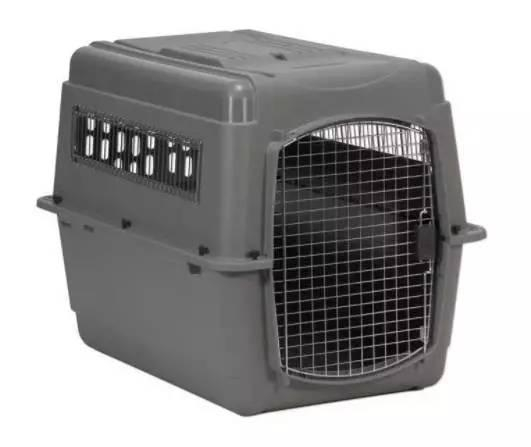 打包宠物的航空箱