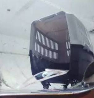 航班落地后破损的宠物箱