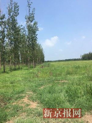 当地村民称水沟周围经常有疑似传销人员聚集。新京报记者 李明 摄