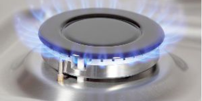 大和:升中国燃气目标价至24元