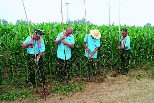 联合考古队在容城县南阳村考古，发掘古燕国城墙遗址。 摄影/刘向阳