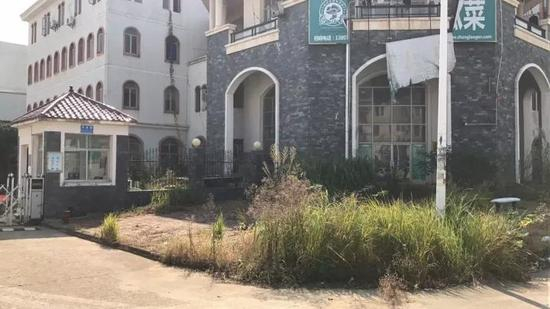 ▲共青城赛龙公司门口杂草丛生 每经记者&nbsp;于垚峰 摄