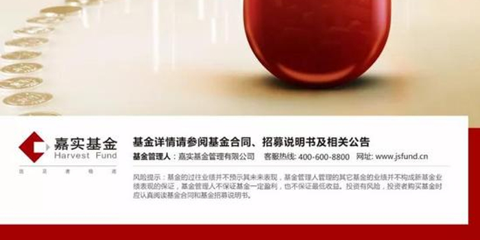 高级投资策略师划重点:嘉实医药健康股票基金