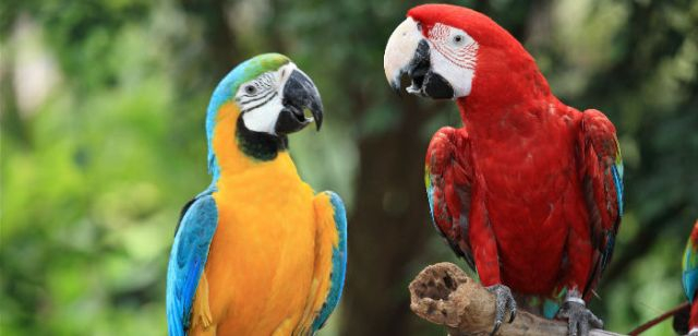 图片来源：全景视觉