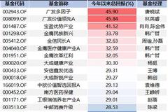 5月基金排名“巨浪来袭”：去年冠军集体“逆袭” 一批新面孔跻身前列