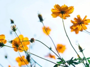 俞敏洪疫情日记2月13日|望新领导能给湖北人民带去福音