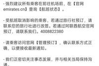 中东最大航空公司，罕见全线停航