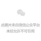  注：以上合约均为主力连续合约，数据来源于文华财经