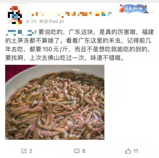 　禾虫，不是你想吃就能吃 图源：微博截图