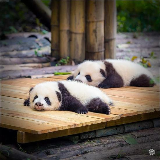 市场一波三折 买家“上车”初心不改