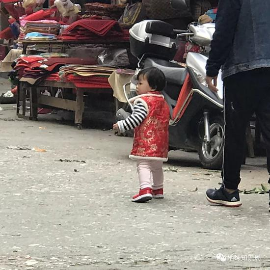 广东同事返乡日常