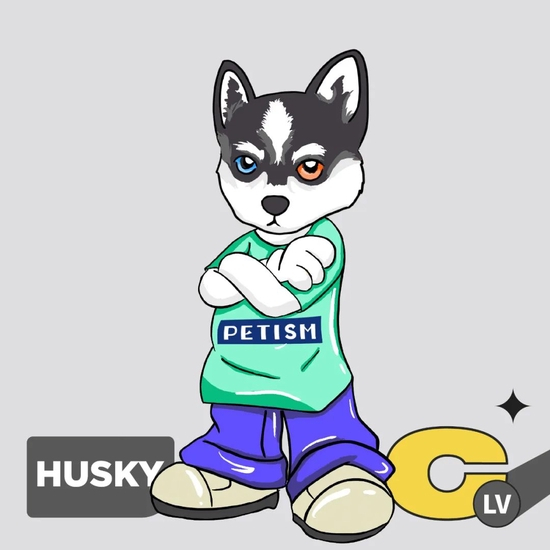 小赵新入手的数字狗NFT，受访者供图