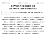 000059副总经理被查