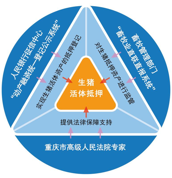 银保联手创新三种生猪活体抵押贷款模式