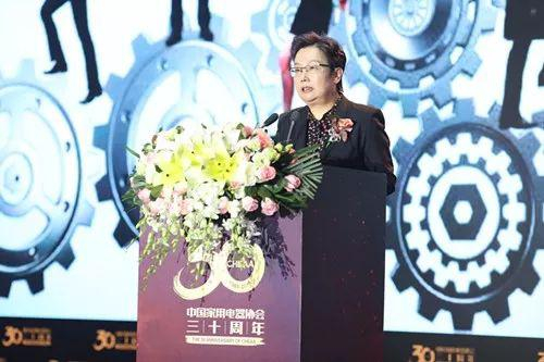 中国家用电器协会理事长 姜风