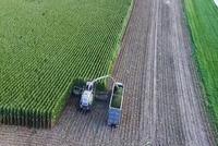 快讯：农业种植板块异动拉升 金健米业涨停