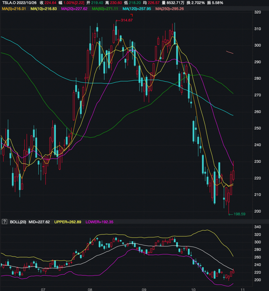 特斯拉股市表现 图片来源：Wind