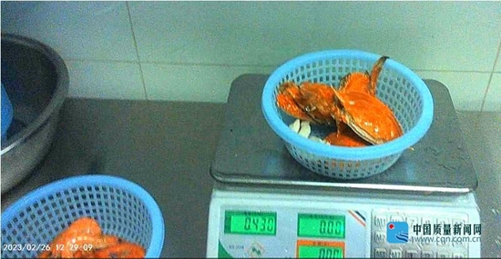标准为500克的东海船蟹，实际出餐430克