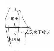  上、下胸围的测量方法