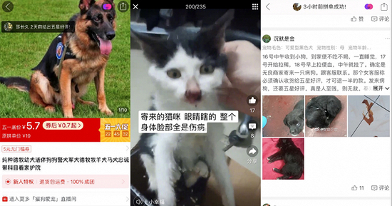 网友的投诉截图