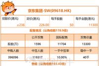 京东暗盘上涨7%：打新中签率10% 顺势拿下港股“吸金王”