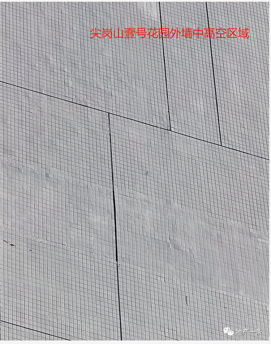 尖岗山壹号花园业主供图。