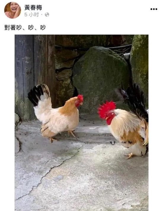 大S母亲黄春梅在社交媒体上发布动态