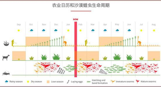 资料来源：FAO，中金公司研究部