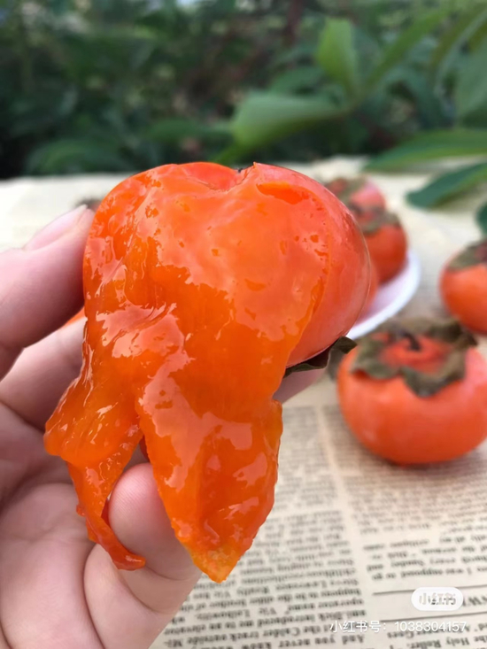 陕西火晶柿子 图源小红书