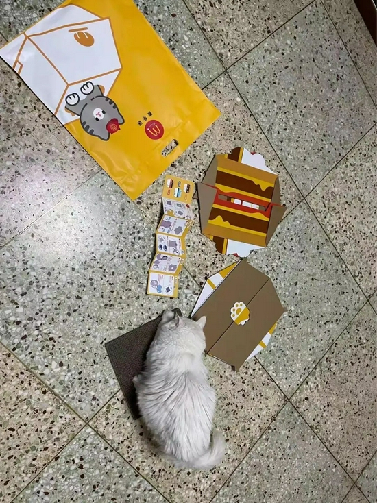 △ 纸盒猫窝定位类似于一次性用品。猫窝用硬纸板折成，稍胖一些的猫一进出猫窝，上盖就会脱离，甚至散架。猫窝的纸板偏薄，容易被猫咬穿。摄影 | 吴冰瑶、Kaulitz
