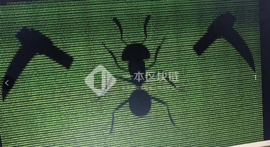 hAnt病毒/&nbsp;图片由受访者拍摄
