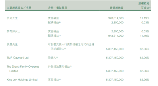 ▲力量发展股东结构，截图自其2024年中期报告
