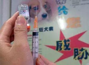 拟再投37亿理财