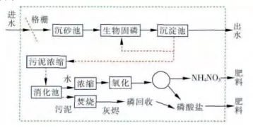 营养物工厂概念工艺