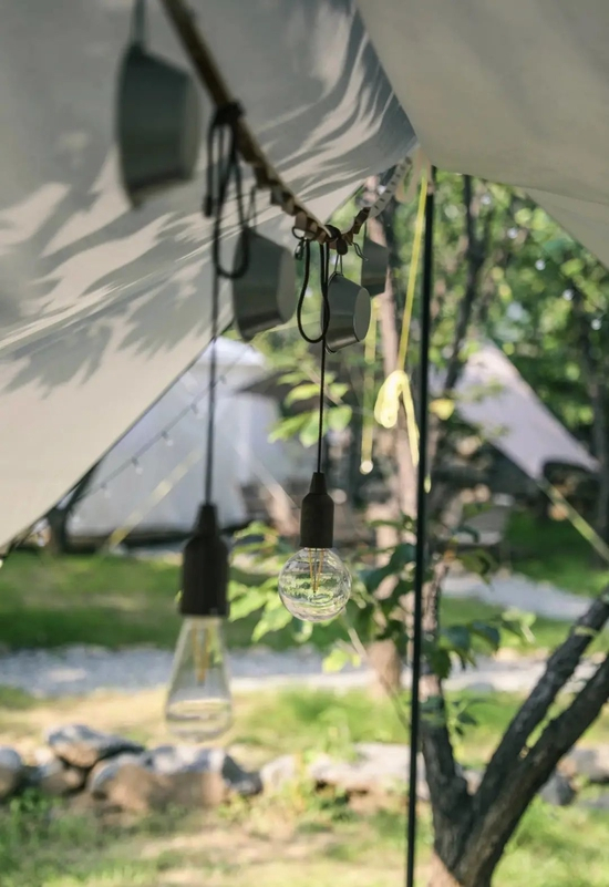  小侯选择的商业营地 图源 / Taylor小侯同学