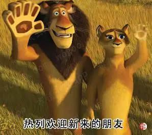 四、隆鑫控股的表演时刻