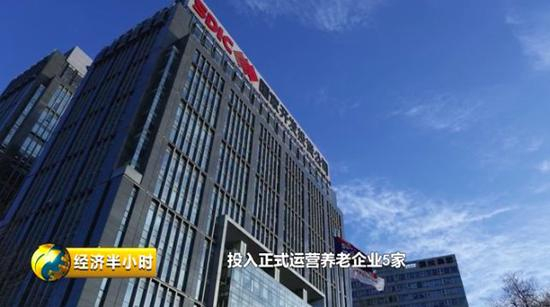 国家开发投资公司