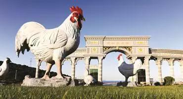 产业链布局迟缓