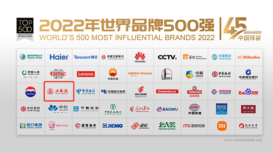 2022年世界品牌500强（中国阵容） 图片来源：五粮液集团官网