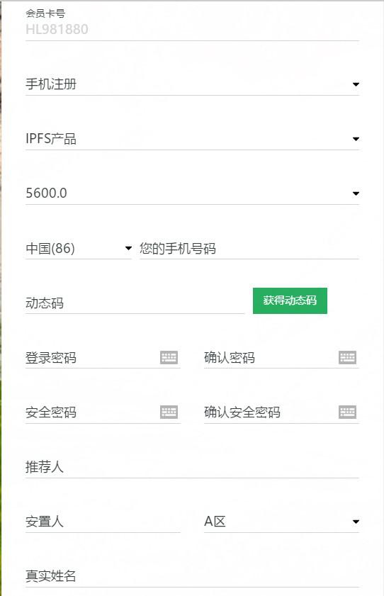 （来源：华联国际官网）