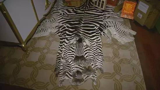 堆满各种物品的书房地上，除了红酒、高档滋补品，还有斑马皮和狮子皮。