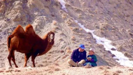 　　肃北县石包城乡牧民们为了不影响孩子的学习， 　　带上孩子骑着骆驼上山找信号 　　来源：兰州新闻网