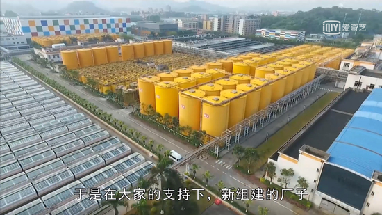 来源：视频截图