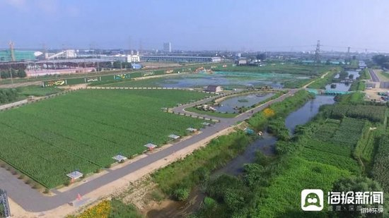 　“秦皇岛市海港区排洪河入海水质提升综合治理工程（一期）EPC（设计、施工）总承包”项目（图为受访者提供）
