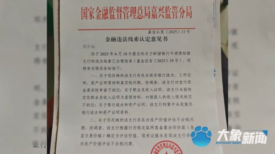 （金融监管局认定意见书）