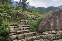 国际茶日 | 我们一起推动茶与城市的融合