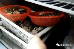 卧底网红餐厅“胖哥俩肉蟹煲”：大量使用过期食材，隔夜死蟹充当活蟹卖