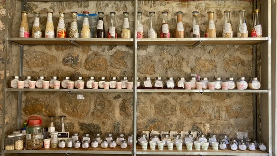 ▲云南丽江石头城村妇女育种家张秀云管理的社区种子库保存了105个品种。图片来源：农民种子网络